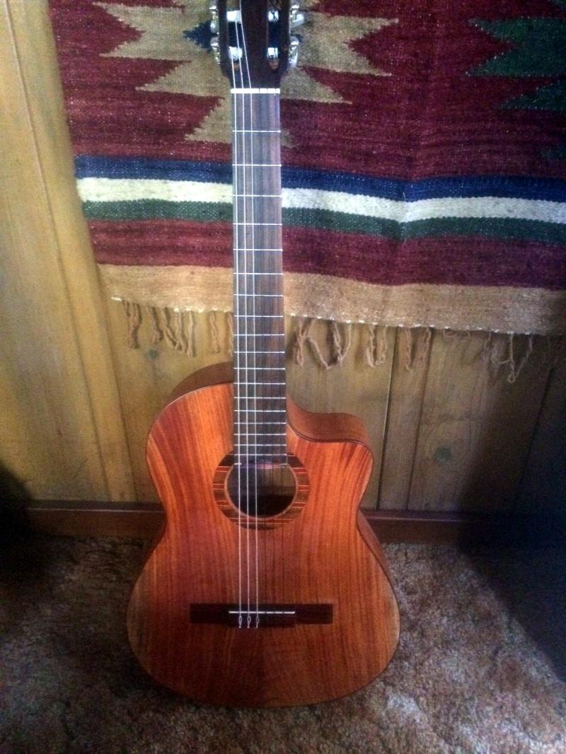 Here's an example of a fully carved hand built guitar available.